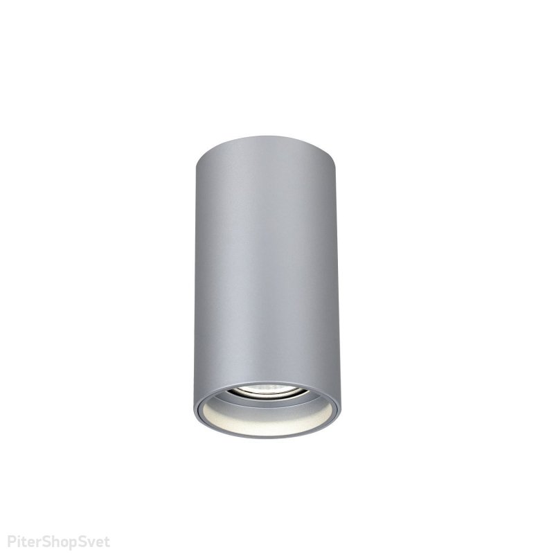 Накладной потолочный светильник серебряного цвета 7Вт 4000К «STIRPE» 2797-1U