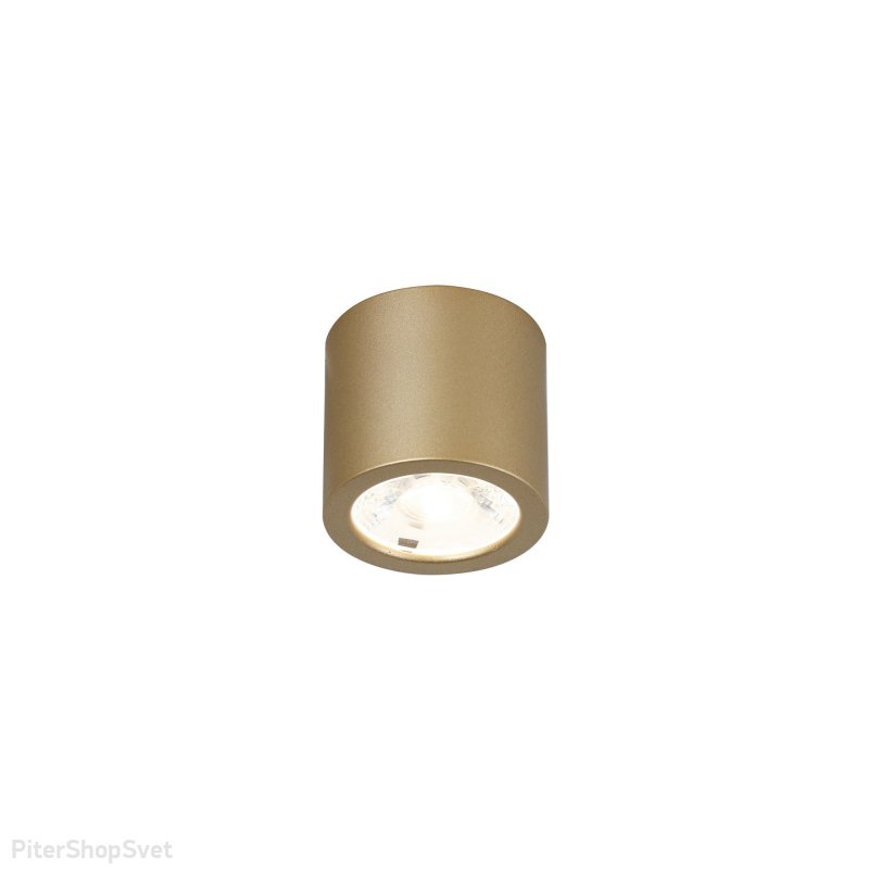 Накладной потолочный светильник золотого цвета 7Вт 4000К «DEORSUM» 2807-1C