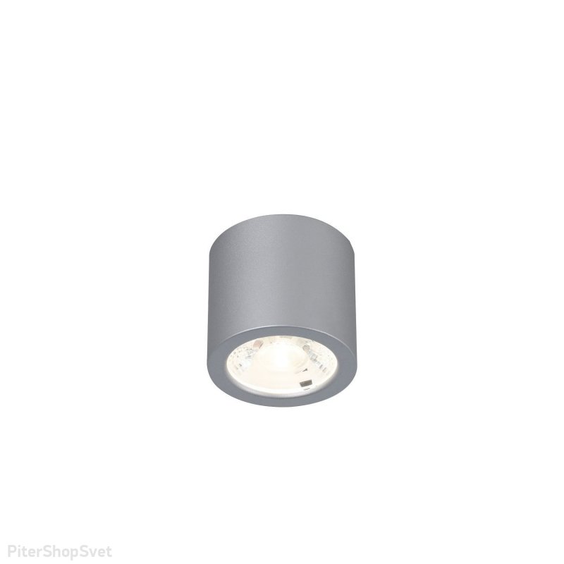 Накладной потолочный светильник серебряного цвета 7Вт 4000К «DEORSUM» 2808-1C