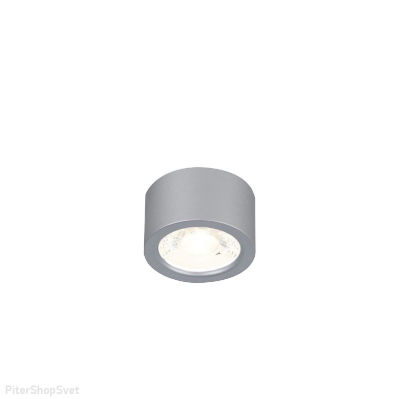 Накладной потолочный светильник серебряного цвета «DEORSUM» 2808-1U