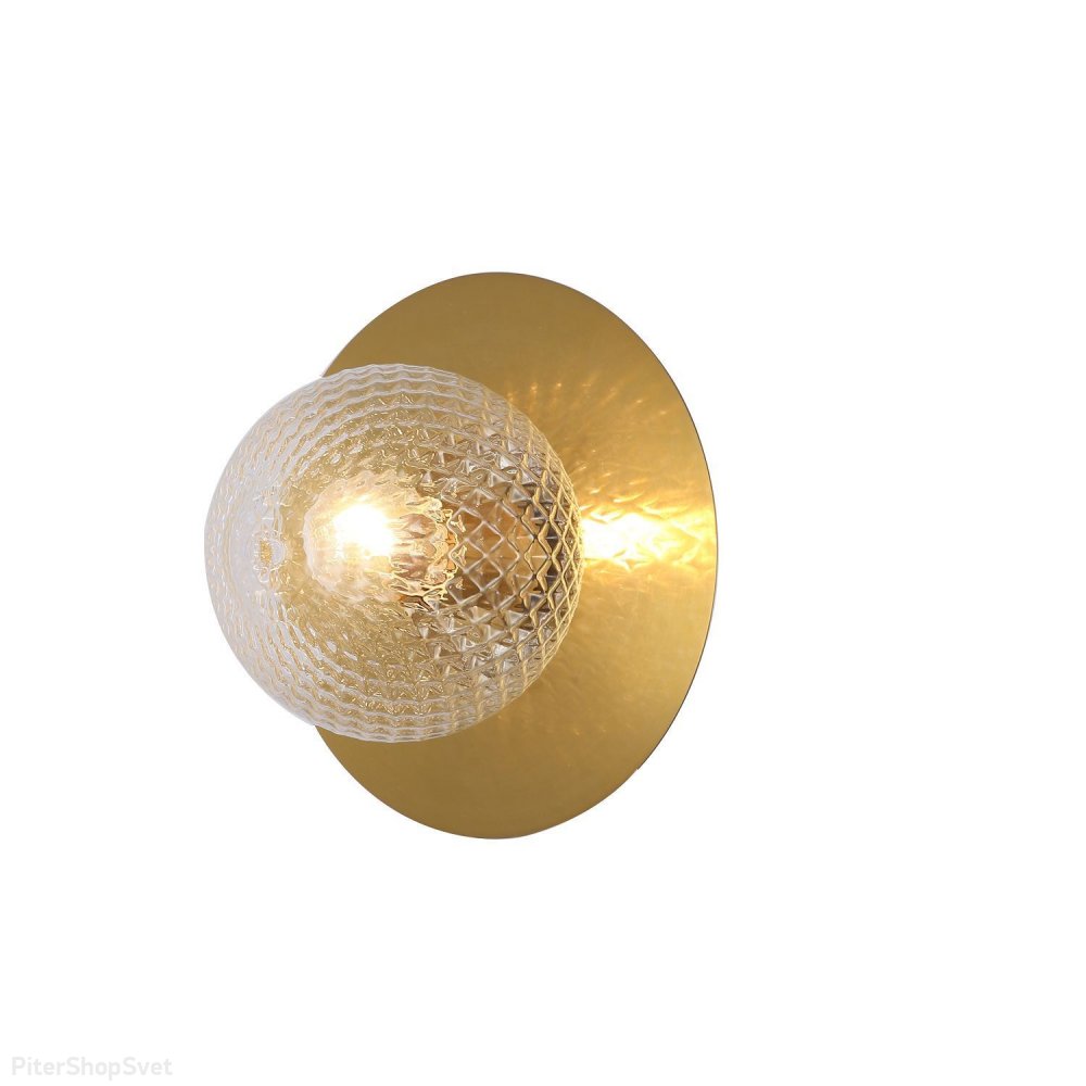 Настенно-потолочный светильник шар «Roshni» 3049-1W
