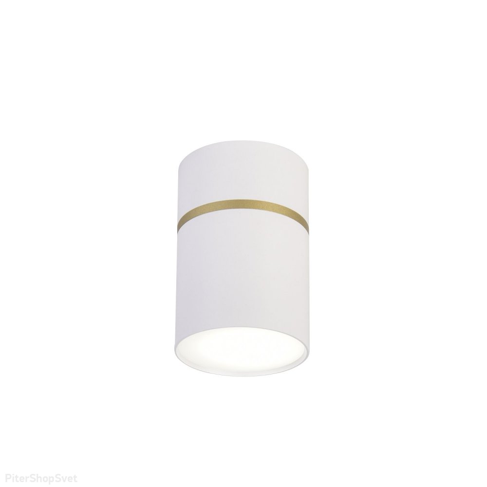 Белый накладной потолочный светильник цилиндр «DUNIA» 3067-1C