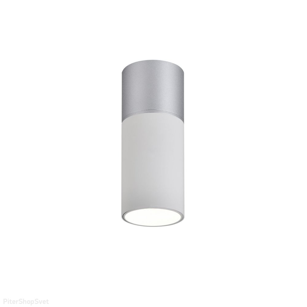 Бело-серебряный накладной потолочный светильник цилиндр «DEEPAK» 3071-1C