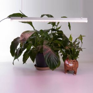 Серия / Коллекция «Освещение растений» от Feron™