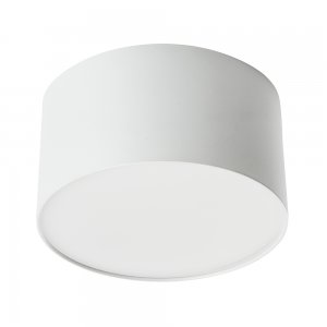 Белый накладной потолочный светильник 10Вт 4000К «Simple matte AL200»