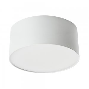 Белый накладной потолочный светильник 20Вт 4000К «Simple matte AL200»
