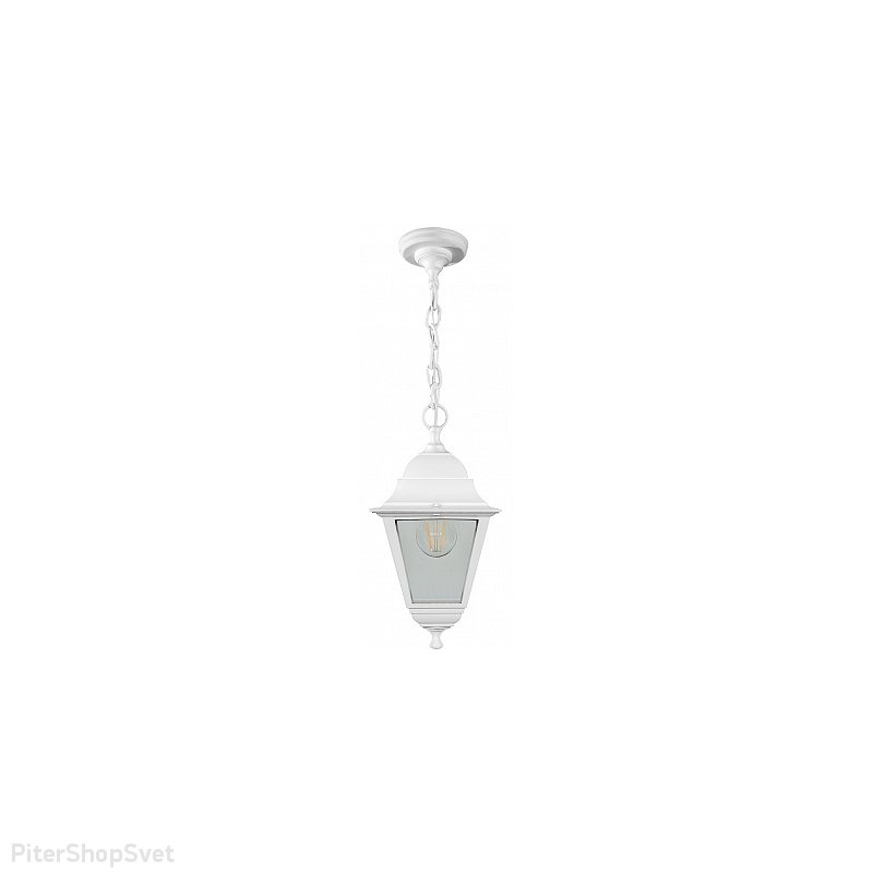 Уличный подвесной светильник «НСУ 04-60-001» 32269
