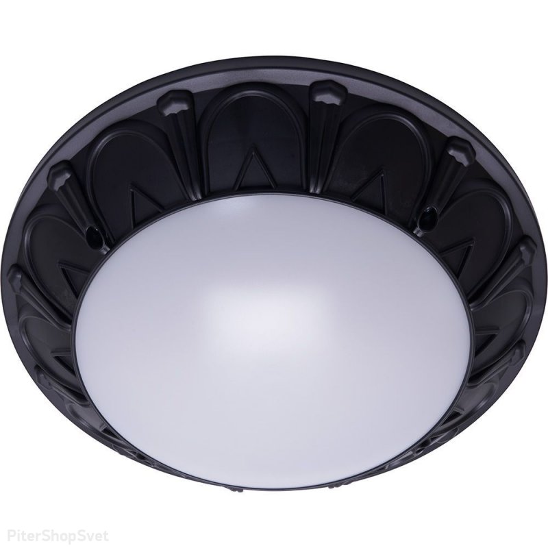 Светильник накладной IP64 чёрный «Маэстро» 41361