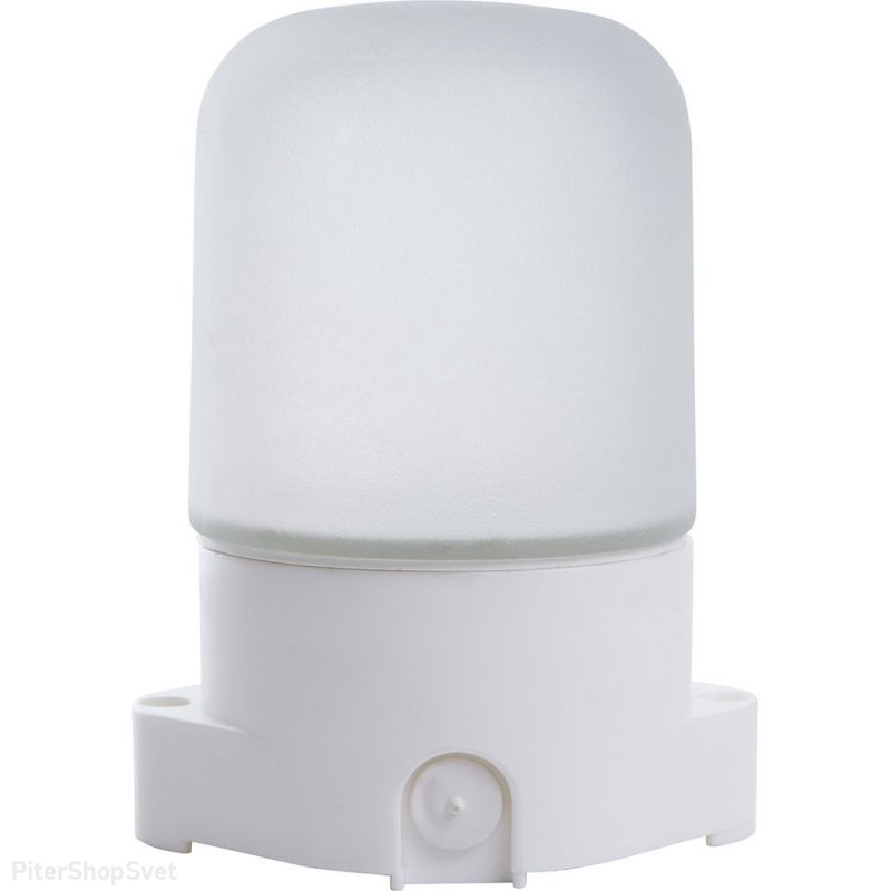 Светильник накладной прямой для бани и сауны IP65 «НББ 01-60-001» 41406
