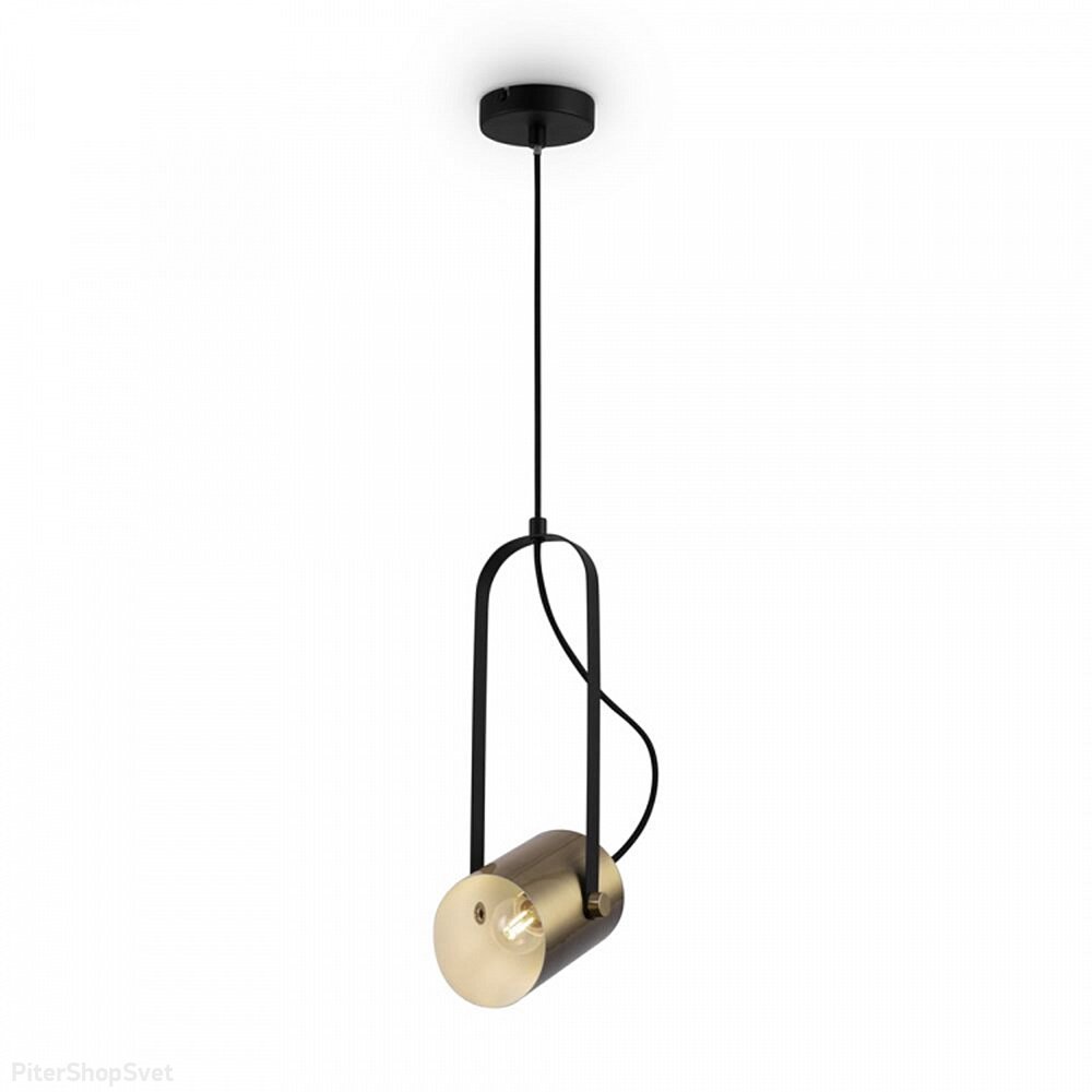 Подвесной поворотный светильник «Loft Elori» FR4004PL-01BBS