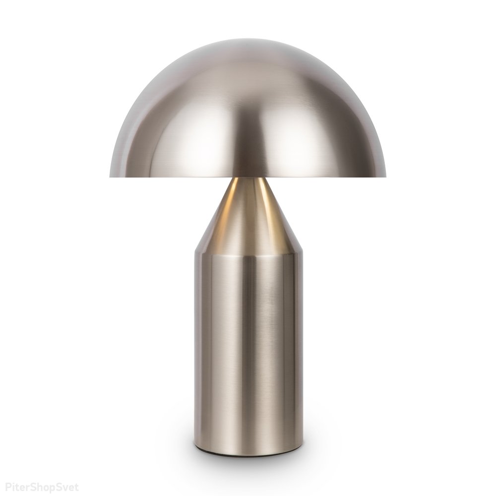 Металлическая настольная лампа с купольным плафоном «Eleon» FR5218TL-02N