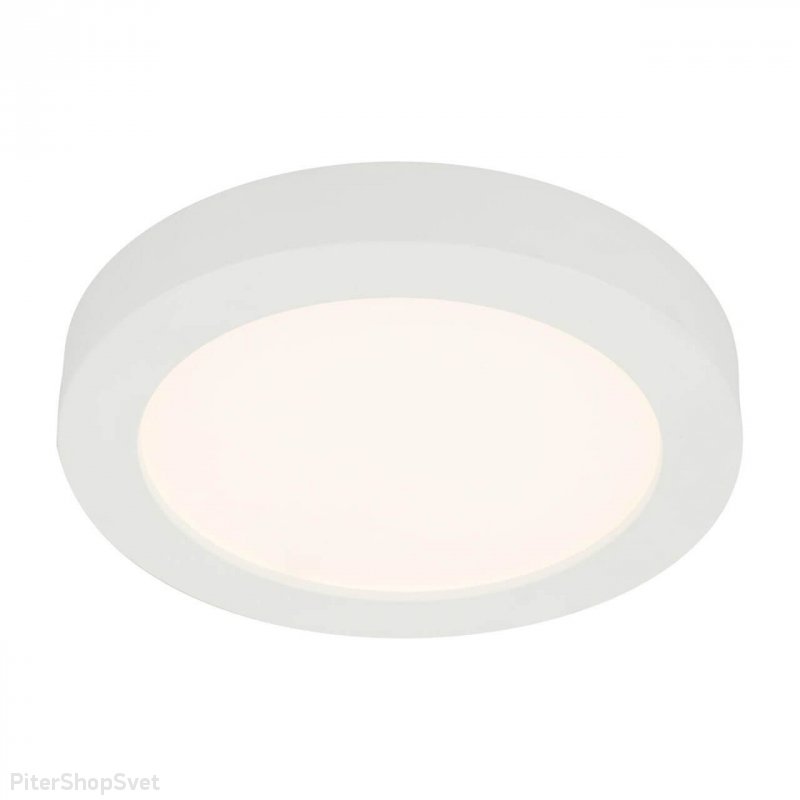 Накладной потолочный светильник 24Вт «Paula» 41605-24D