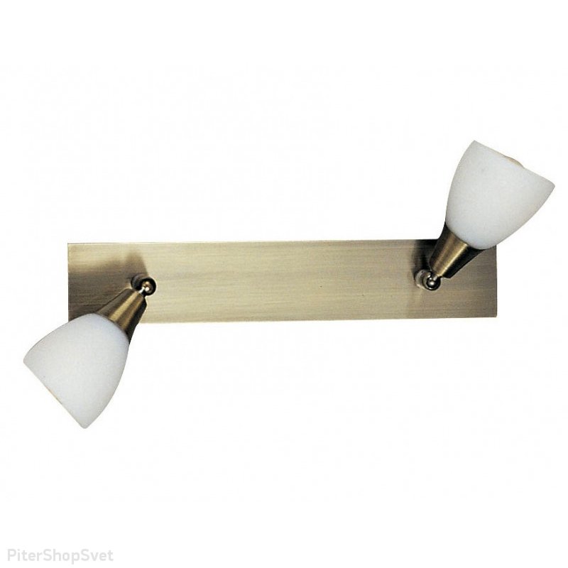 Двойной спот «Frank» 5451-2