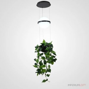 Подвесной светильник шар с вазоном «Palma Wall Lamp»