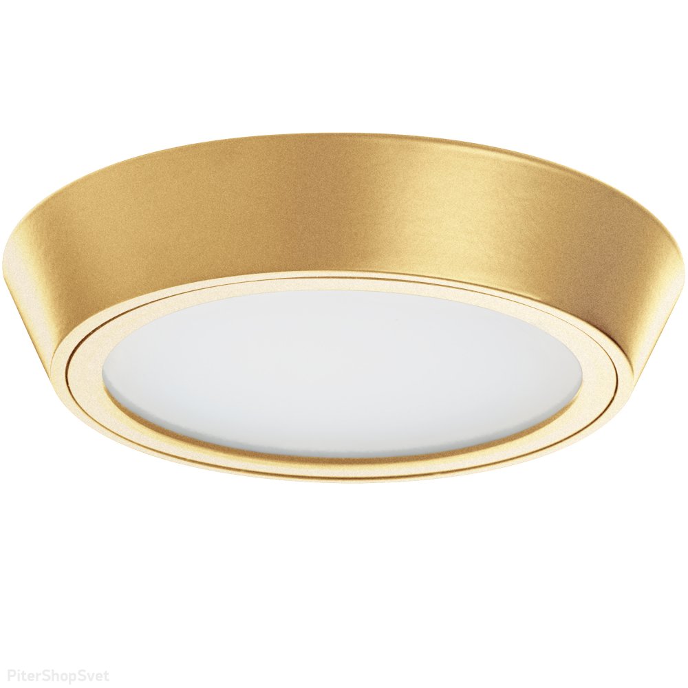 10Вт 3000К золотой круглый плоский потолочный светильник с влагозащитой IP65 «Urbano» 214932