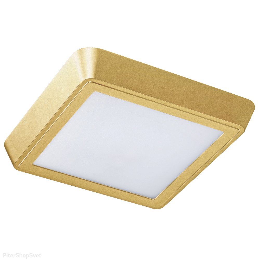 20Вт 3000К золотой накладной прямоугольный светильник с влагозащитой IP65 «Urbano Sq Led» 216832