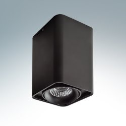 Металлический чёрный накладной светильник 212537 Monocco