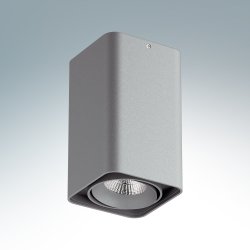 Металлический накладной светильник серого цвета 212539 Monocco