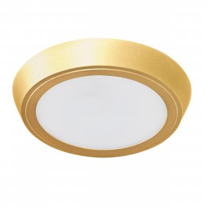 20Вт 3000К золотой круглый плоский потолочный светильник с влагозащитой IP65 «Urbano Cyl Led»
