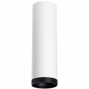 Накладной потолочный светильник цилиндр, белый/чёрный «Rullo»