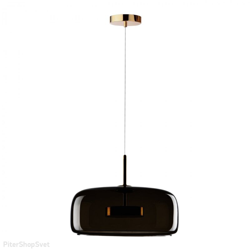Светодиодный подвесной светильник 12Вт 3000К «Dauphin» 10040B