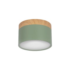 12Вт зелёный накладной потолочный светильник цилиндр «Grape»