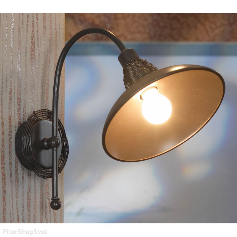 Настенный светильник из металла LSN-1071-01 Ancona Lussole