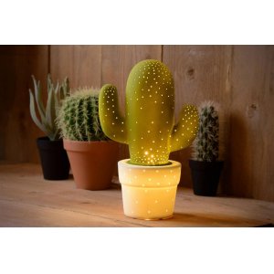 Серия / Коллекция «CACTUS» от Lucide™