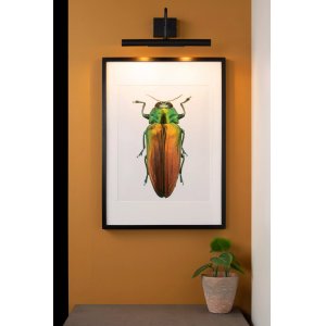 Серия / Коллекция «Vinz» от Lucide™