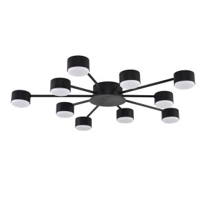 Потолочная люстра «TORINA»