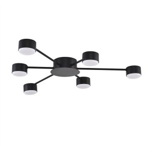 Потолочная люстра «TORINA»