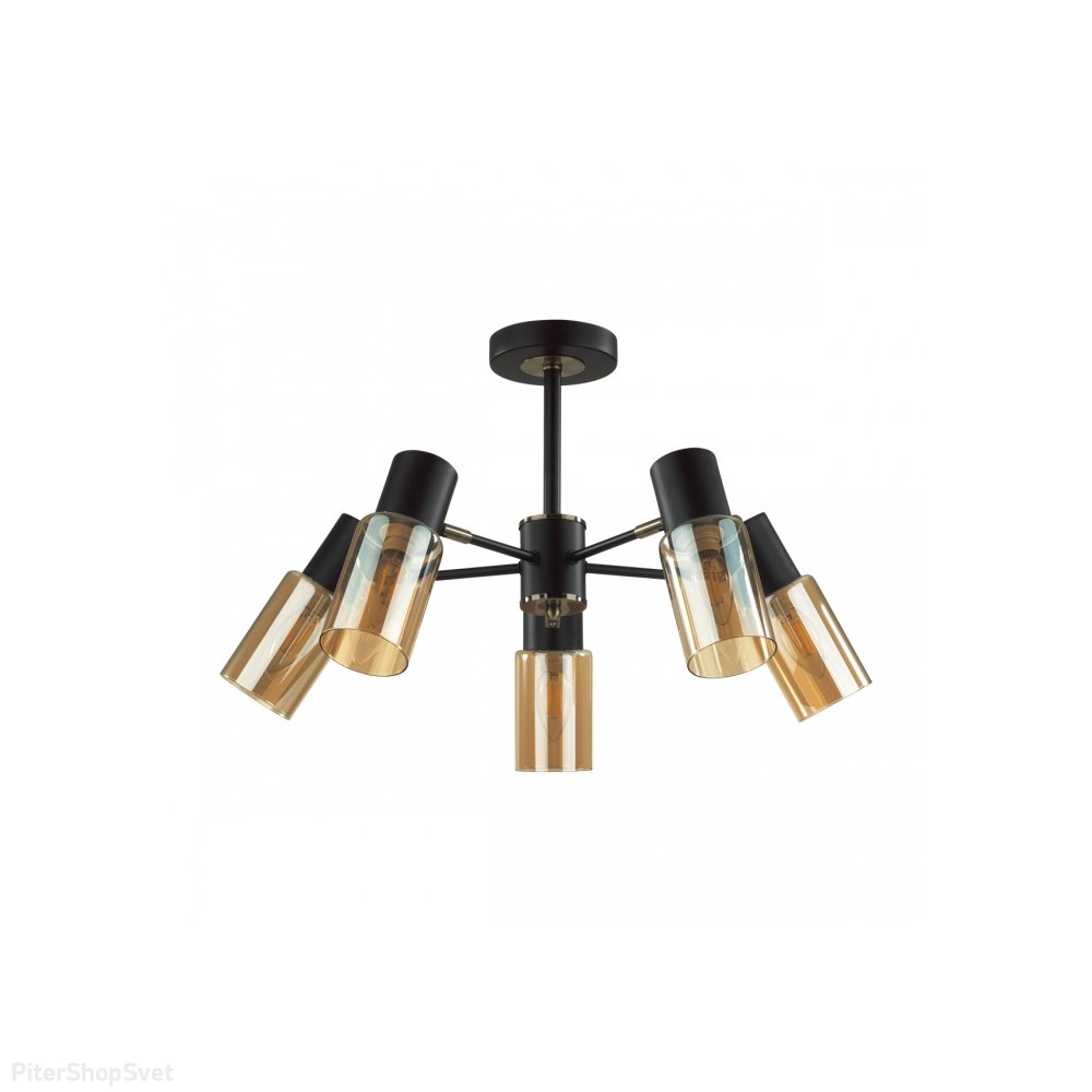 Потолочная люстра с поворотными плафонами «Ronnie» 5644/5C