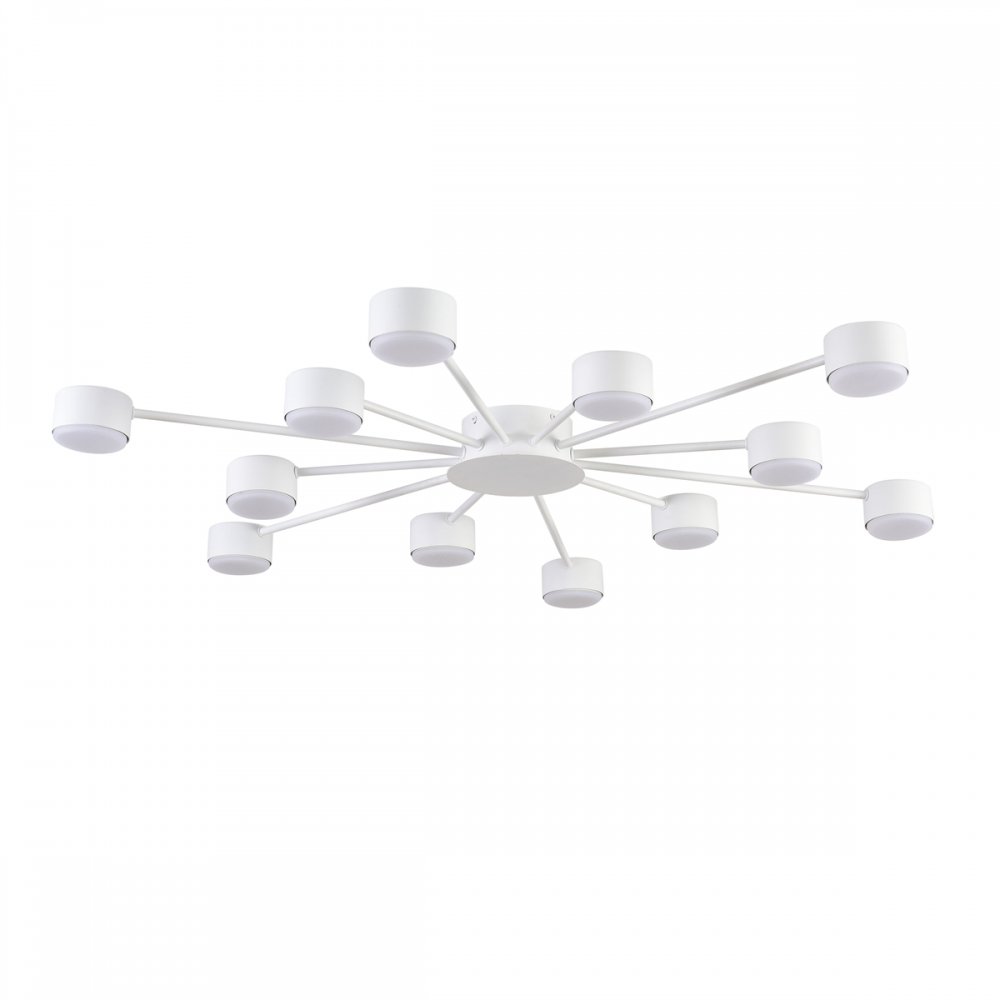 Потолочная люстра «TORINA» 8343/12C