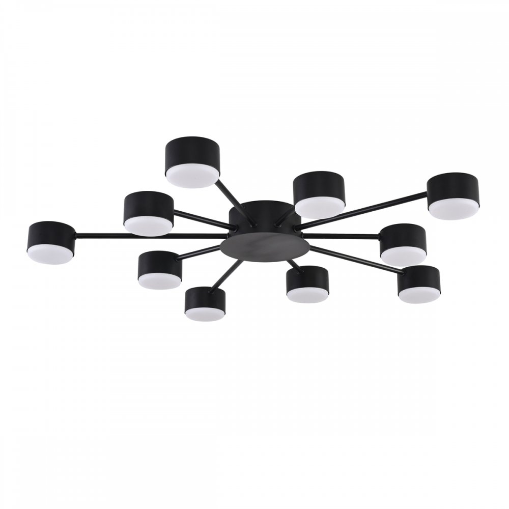 Потолочная люстра «TORINA» 8344/10C