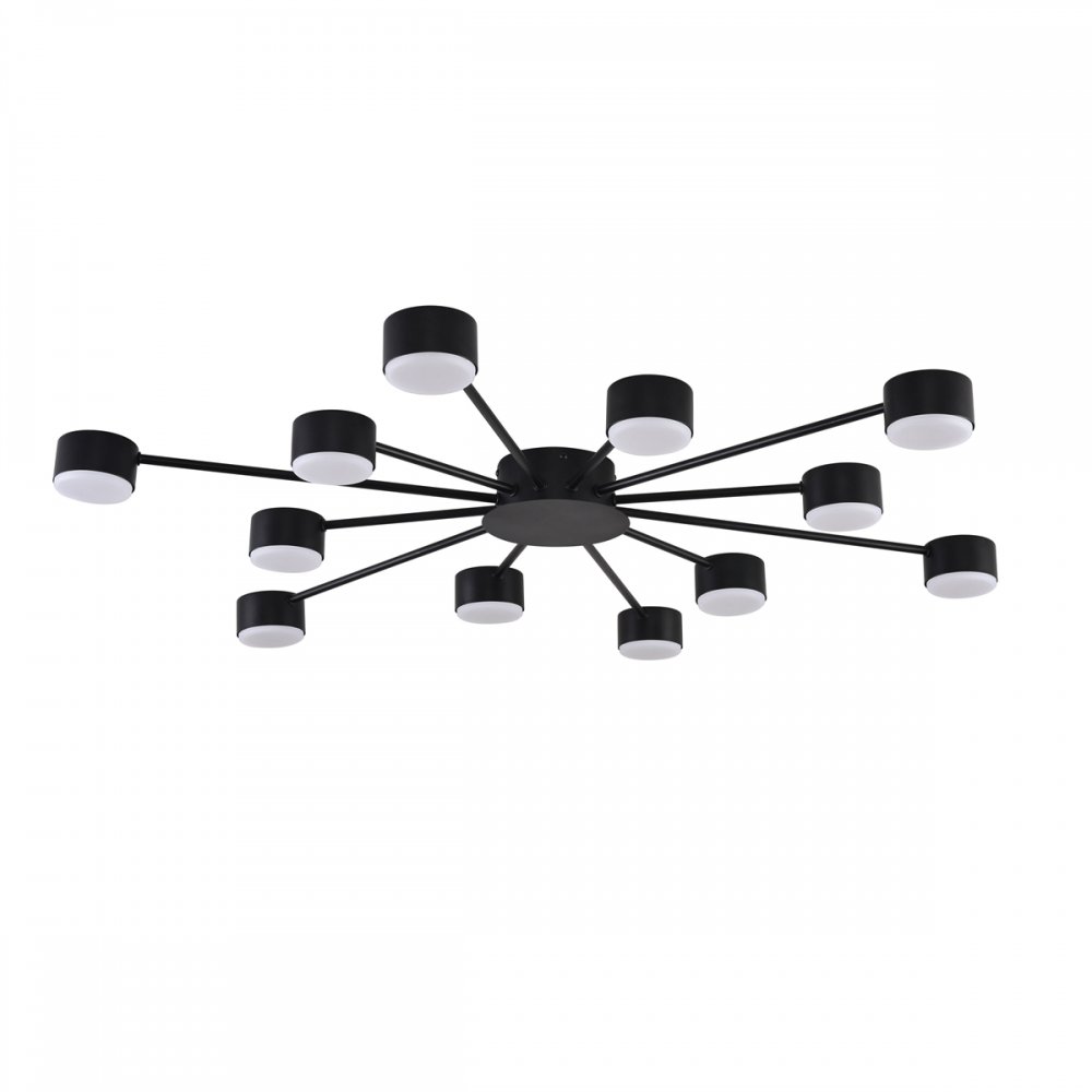 Чёрная потолочная люстра «TORINA» 8344/12C