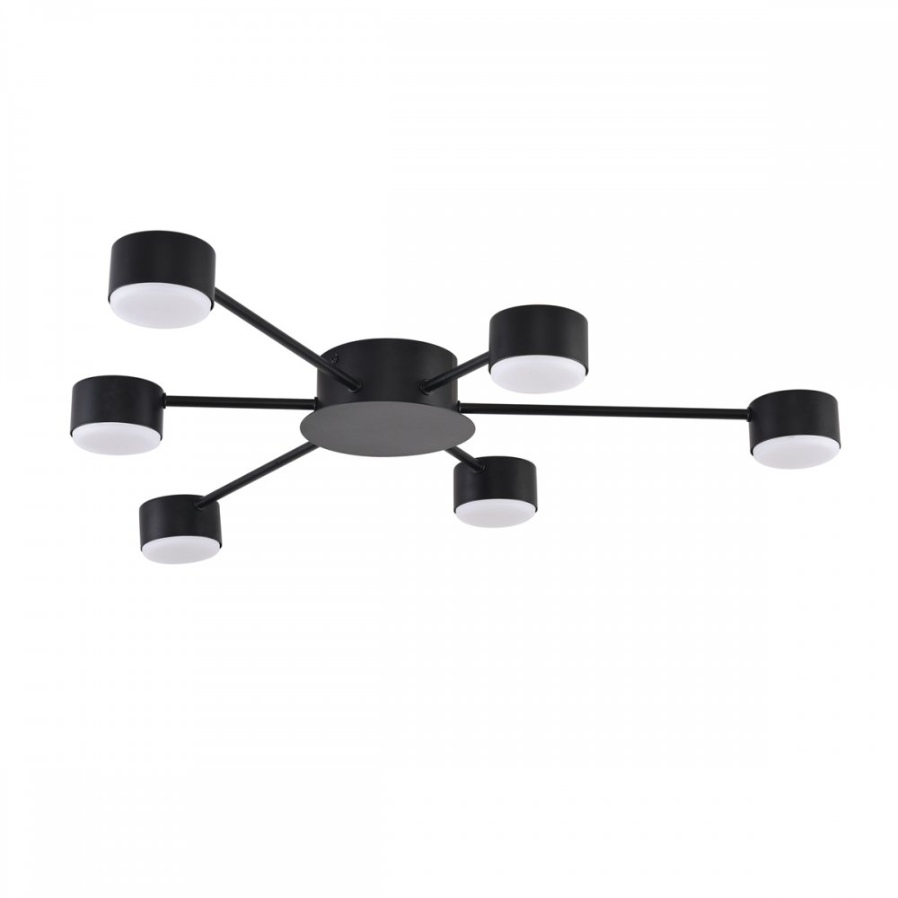 Потолочная люстра «TORINA» 8344/6C