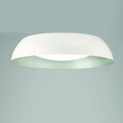 Белый потолочный светильник LED 4846 Argenta