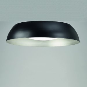 Потолочный светильник 4848E «ARGENTA E»