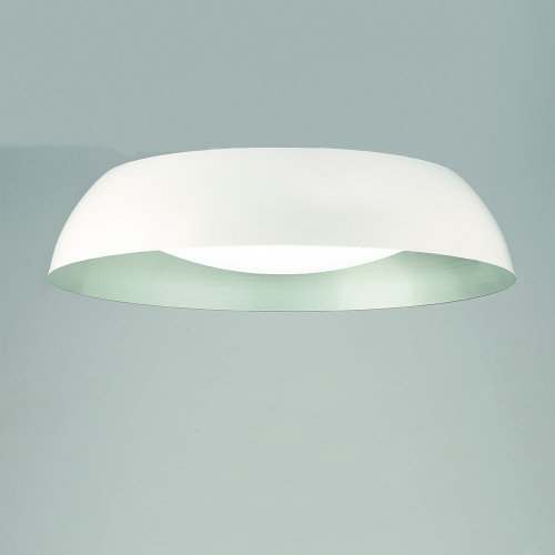 Белый потолочный светильник LED 4846 Argenta Mantra
