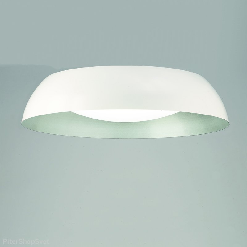 Потолочная люстра «ARGENTA E» 4846E