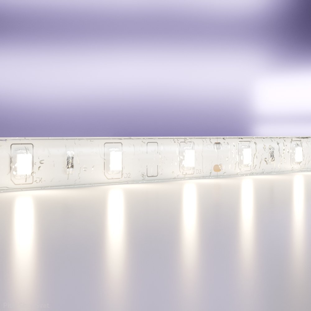 5м влагозащищённая IP65 светодиодная лента 12В 4.8 Вт/м 4000K «Led strip» 10106