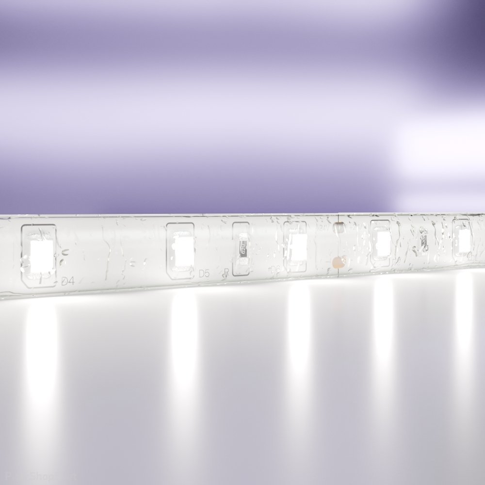 5м влагозащищённая IP65 светодиодная лента 24В 4.8 Вт/м 6000K «Led strip» 10141