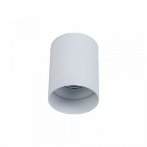 Накладной потолочный светильник «Alfa» C014CL-01W