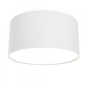 12Вт 3000К белый круглый плоский потолочный светильник «Zon»