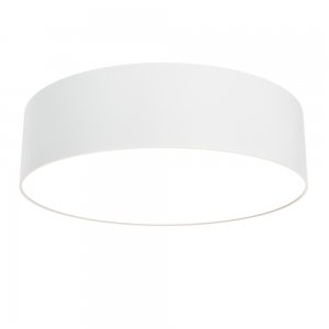24Вт 3000К белый круглый плоский потолочный светильник «Zon»