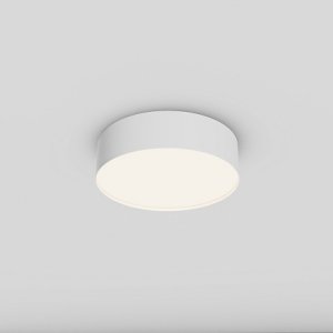 24Вт 4000К белый круглый плоский потолочный светильник «Zon»