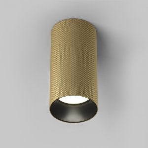 матовое золото накладной потолочный светильник цилиндр «Artisan»