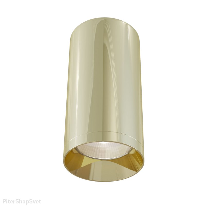 Накладной потолочный светильник цвета золото «Alfa» C010CL-01G