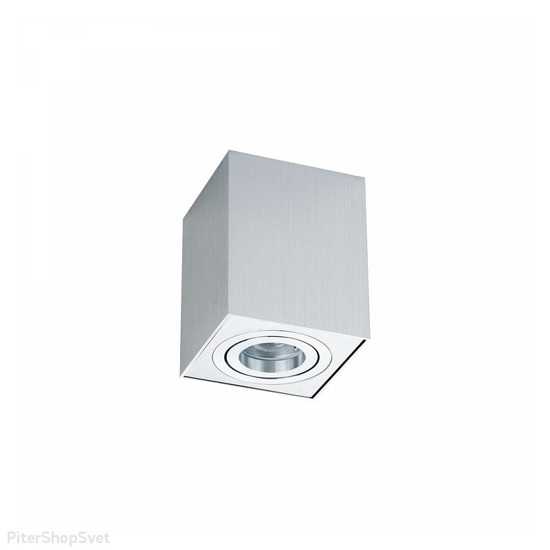 Накладной поворотный светильник «Alfa» C017CL-01S