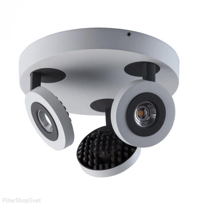 Светодиодные споты на круглом основании «Астор» 545020903